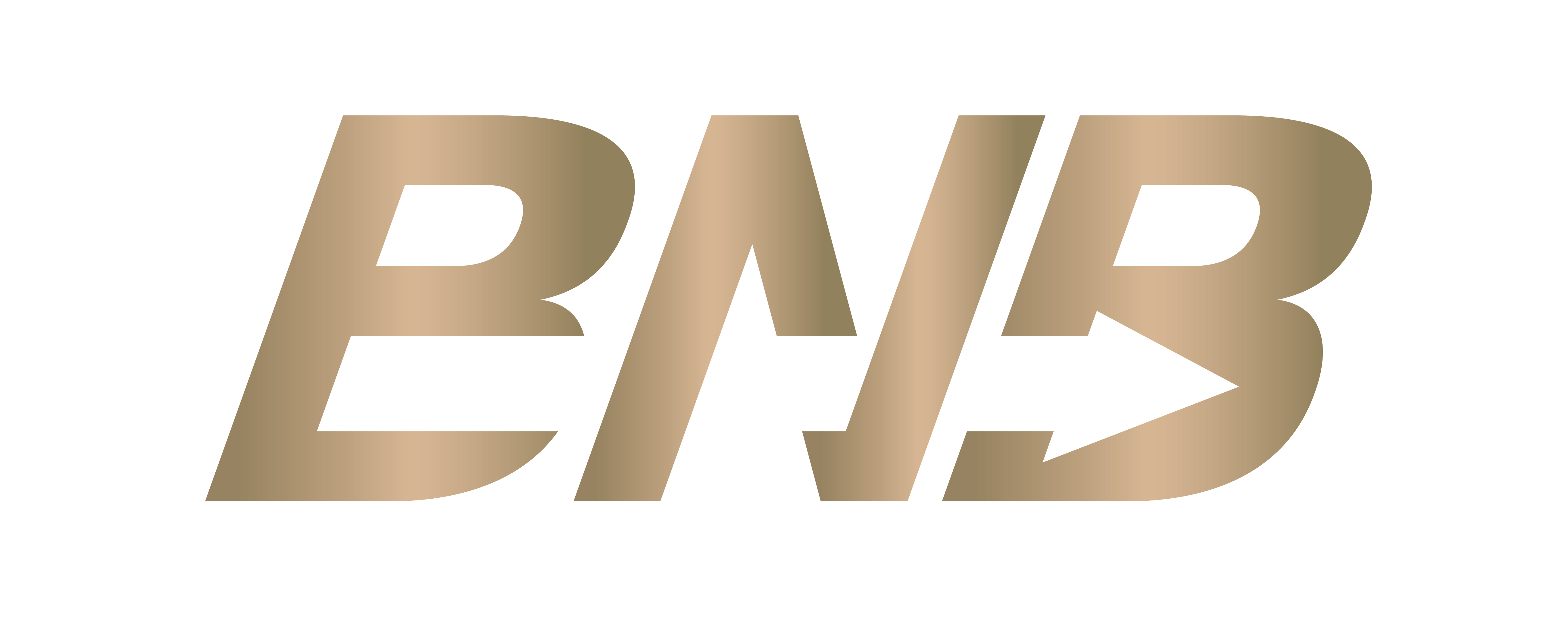 BNB Cargo